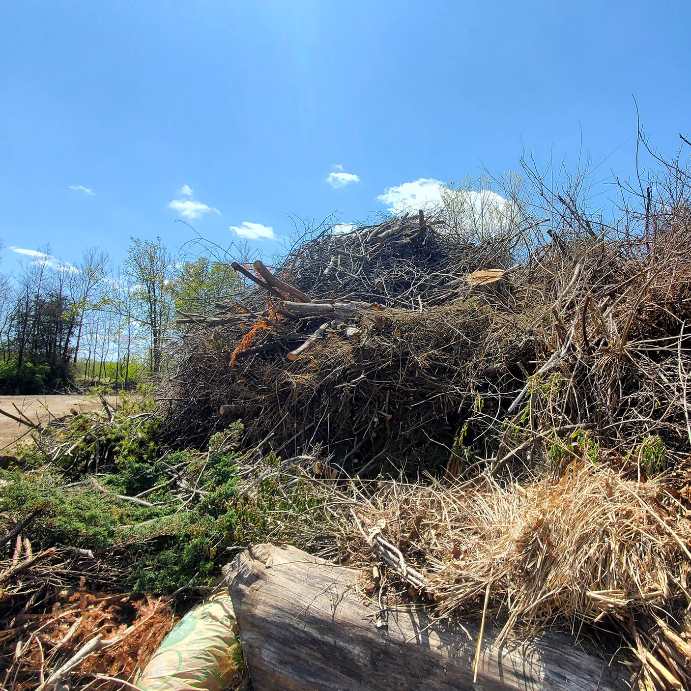 Yard Waste Recycling Brush Recycling Good Earth